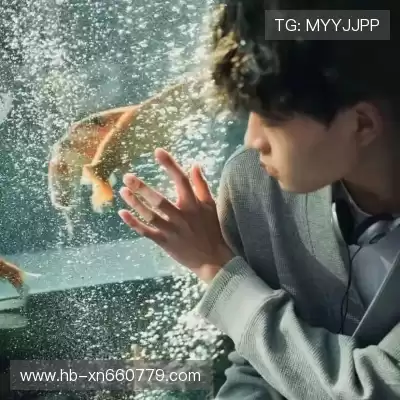 嵇广琛